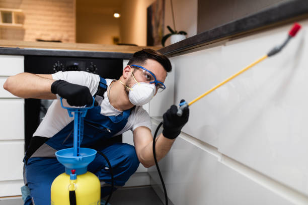 Best Pest Inspection Near Me  in Woodward, OK