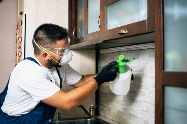 Best Ant Control Services  in Woodward, OK