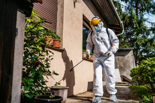 Best Exterminator Services  in Woodward, OK