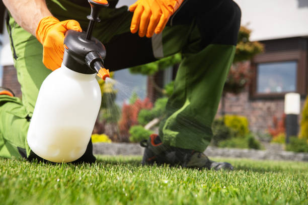 Best Affordable Pest Control Services  in Woodward, OK