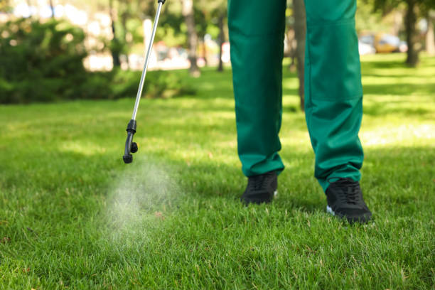 Best Wasp Removal Services  in Woodward, OK