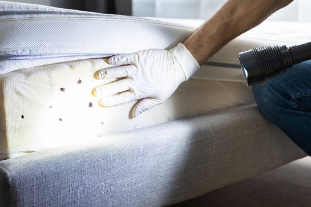Best Exterminator Services  in Woodward, OK
