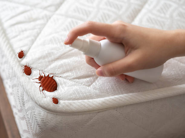 Best Flea Control Services  in Woodward, OK