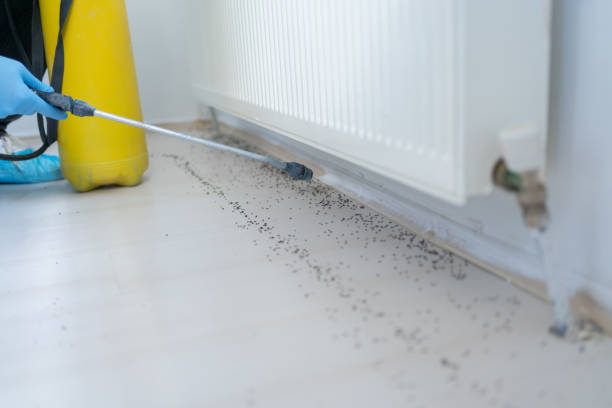 Best Best Pest Control Companies  in Woodward, OK